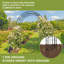132.5cm W x 58cm D Metal Arbour in Black
