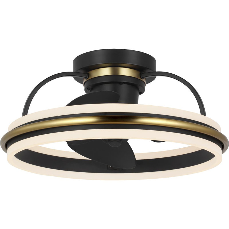 Burnett 20'' Ceiling Fan with LED Lights, Matte Black