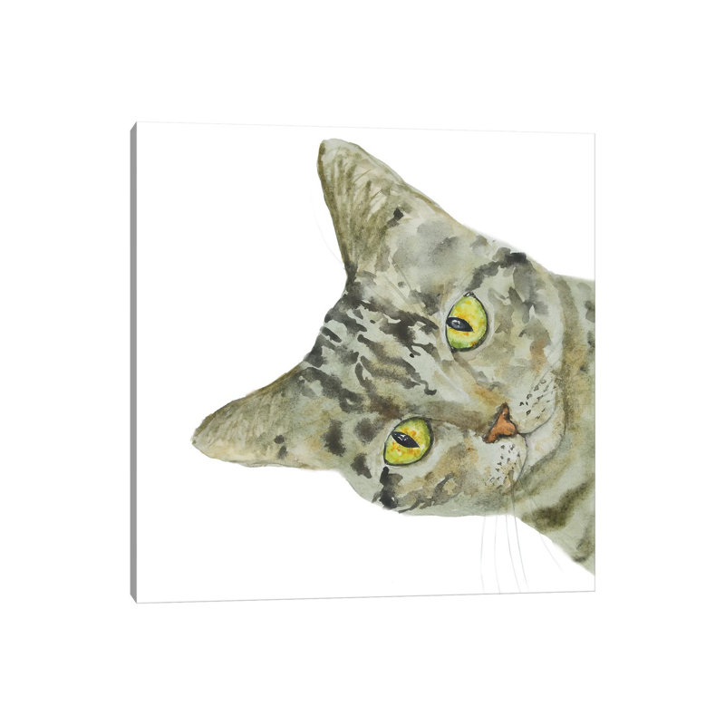 Peeking Tabby Cat by Alexey Dmitrievich Shmyrov - Wrapped Canvas Print, 66.04 cm H x 66.04 cm W x 3.175 cm D