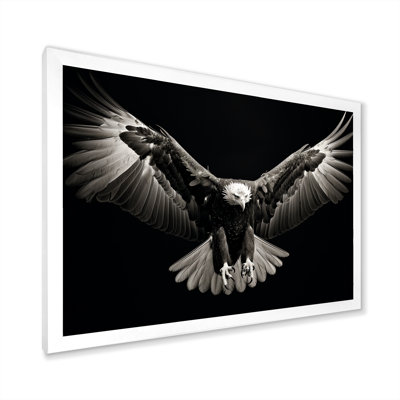 " Bold Eagle Power Hunter IV "