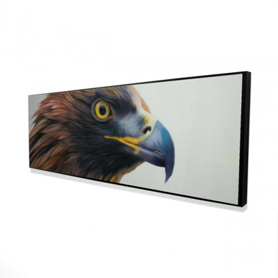 " Brown-headed Eagle "