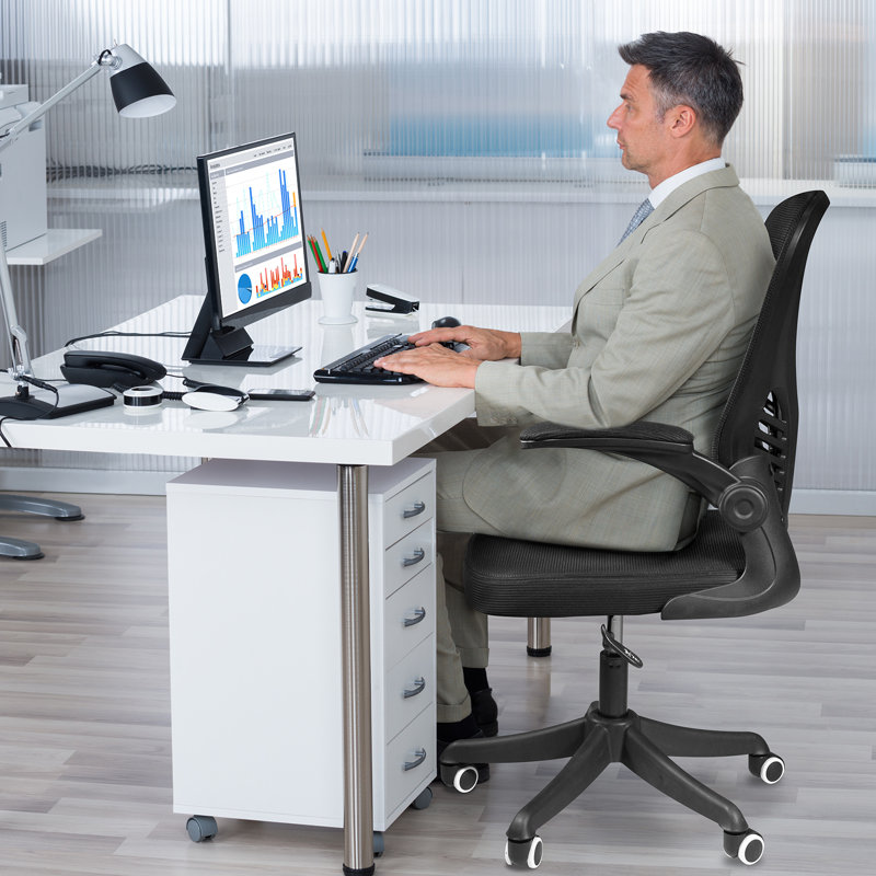 Konstantine Home Office Ergonomic Mesh Task Chair with Flip-up Armrest, Black, Black