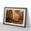 Forest in an Orange Glow - Picture Frame Painting Print-55577647-55577646