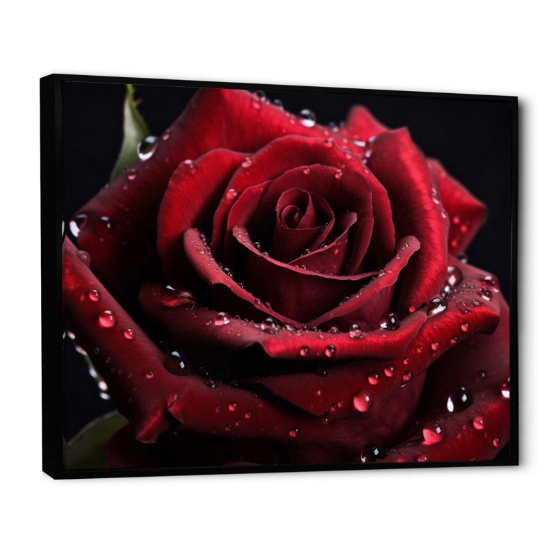 «Red Rose with Raindrops II», reproduction sur toile encadrée, H 24 po x l 32 po x P 1 po, Cadre flottant noir