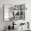 Armoire à pharmacie 30 x 26 pouces à double porte et miroir