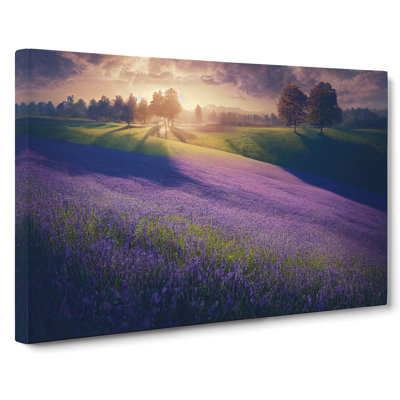Majestic Bluebell Field - Wrapped Canvas Print