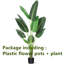 Curtis 46.1 plante