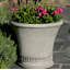 Vallier Planter-13939960