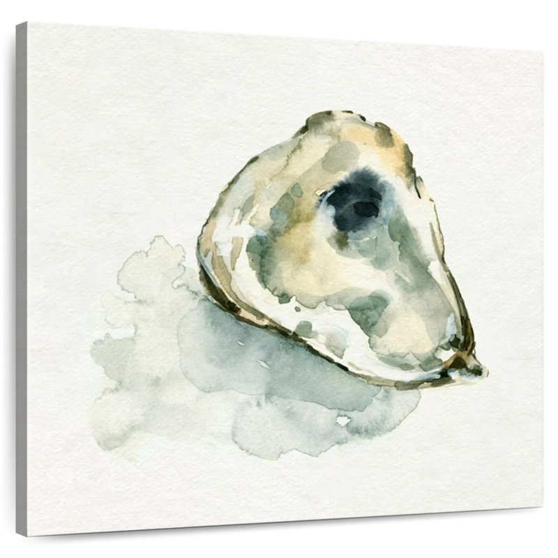 Aletra Old Salt Shell II