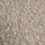 Tissu Schnacher x Patterson Flynn Teddy-71325536