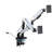 Dual Monitor Desk Mount for Screens up to 35"