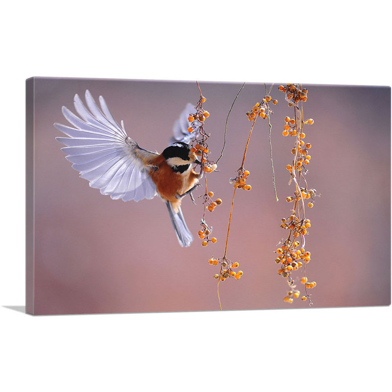 Oiseau volant au-dessus de baies - reproduction de photo sur toile tendue, H 12 po x l 18 po x P 0,75 po