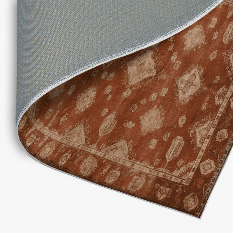 Tapis intérieur et extérieur brun Overdyed, Rectangulaire 2 pi x 3 pi