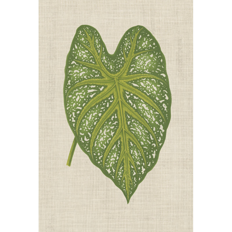 Leaves on Linen I - Graphic Art, 30 cm H x 20 cm W, Wrapped Canvas