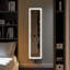 Miroir rectangulaire avec lumières Wrought Studio ™-1131398565