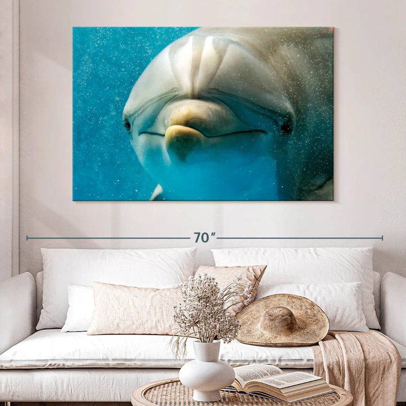 Brampt Nosy Dolphin, 34" H x 51" W