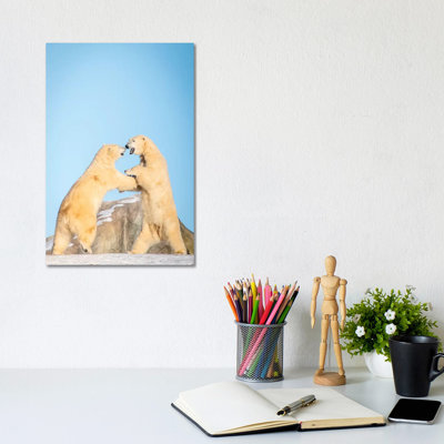 Polar Bears Playing On The Hill by Nik Rave - Wrapped Canvas Print