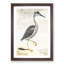 Heron by Johan Teyler - Picture Frame Painting Print-55580392-55580396