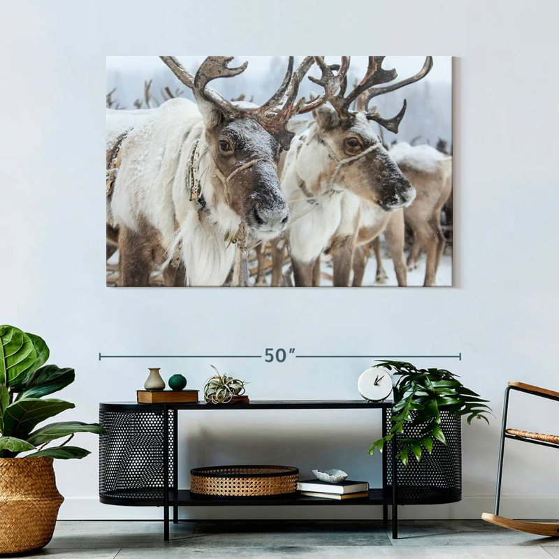 Snow Reindeer, 32" H x 48" W