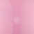 Rose brillant