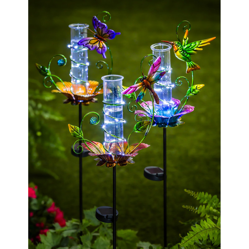 Jauge de pluie florale et libellule