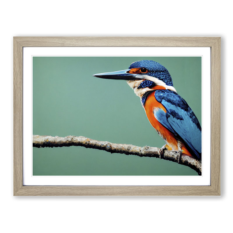 Head Turning Kingfisher Bird - Single Picture Frame Print, 46cm H x 64cm W, Grey