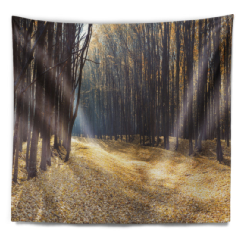 Chemin d'accès dans la tapisserie panoramique de la forêt d'automne, H 32 po x l 39 po