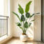 Plantes artificielles réalistes pour la décoration intérieure