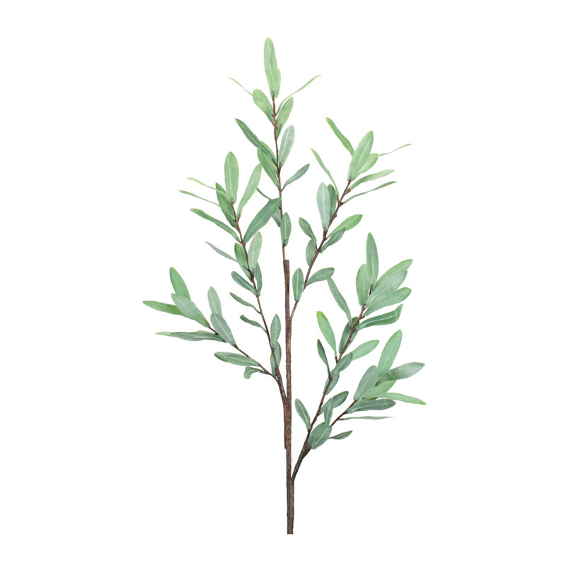 Branche de brindille olive