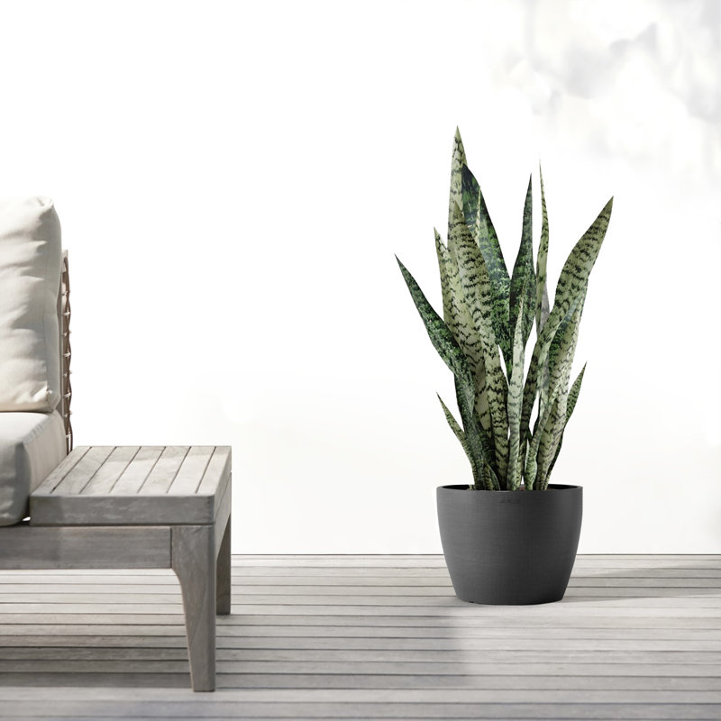 Ecopots Stockholm Indoor/Outdoor Modern Recycled Plastic Flower Pot Planter, 7" H x 9.5" W x 9.5" D, Dark Gray