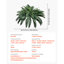 60cm Faux Fern Plant-1788137158-1788137153