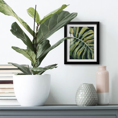 Nosturnal Monstera I