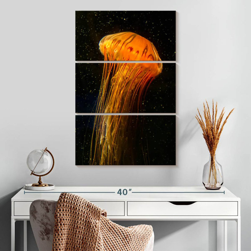 Pacific Sea Nettle, 32" H x 20" W