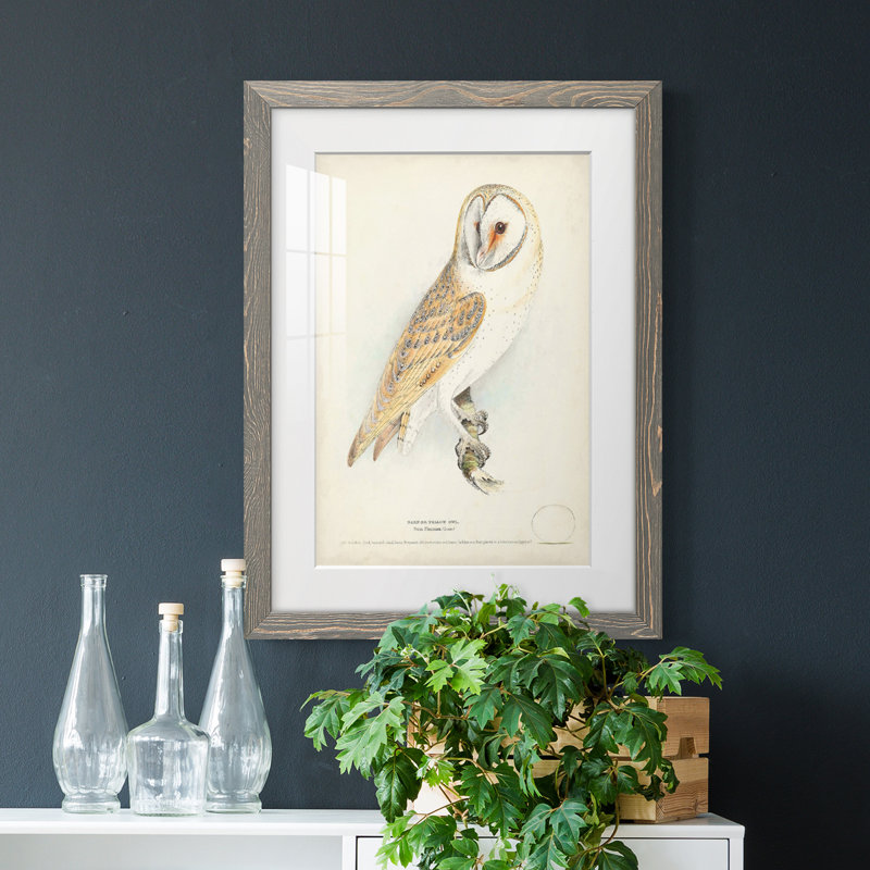 Barn Owl Premium encadré mat - prêt à accrocher, Cadre gris, H 20 po x l 17 po x P 1 po