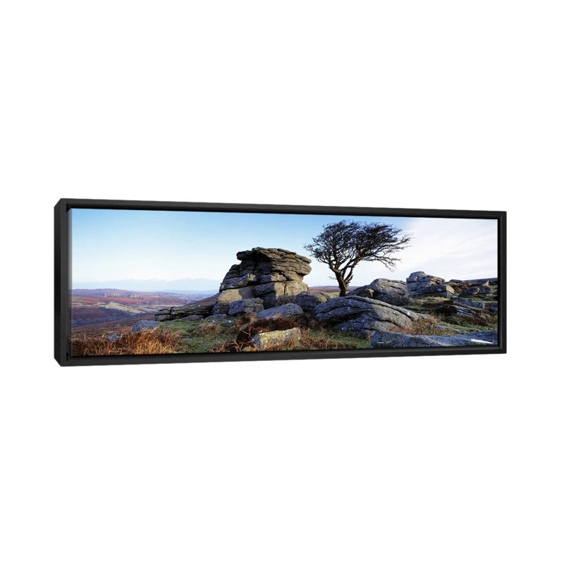 «Panoramic Bare Tree Near Rocks, Haytor Rocks, Dartmoor, Devon, England» par Panoramic Images - Impression sur toile tendue sur châssis