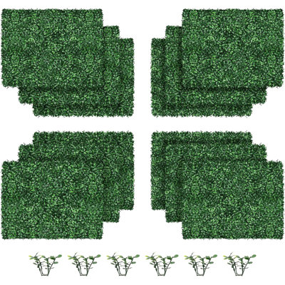 Grass