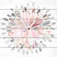 «Fading Flower» par Mormont Hill-1481681494