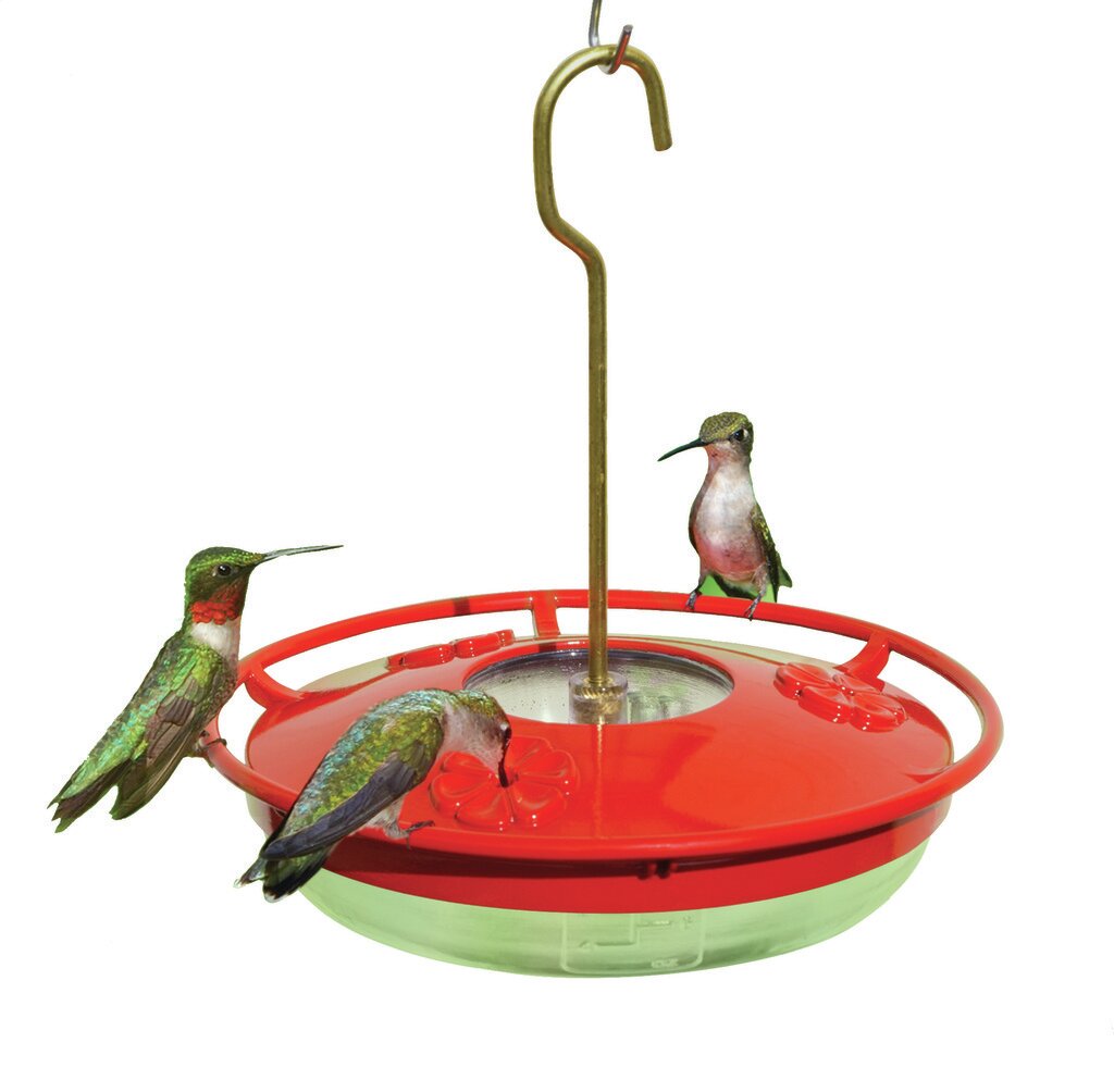 Aspects hummingbird online feeder