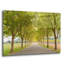 «Alexander Valley Trees» par Richard Wong, art mural en verre acrylique-1794812895