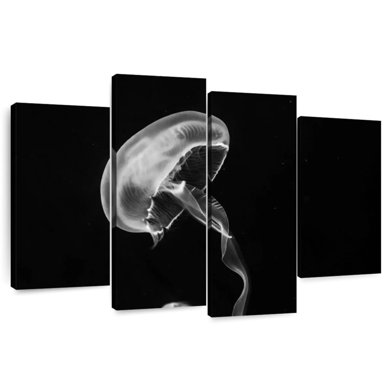 Brampt Jellyfish, 27" H x 43" W