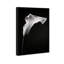 Calla Lily II by Oliver Gal-245594936-245594938