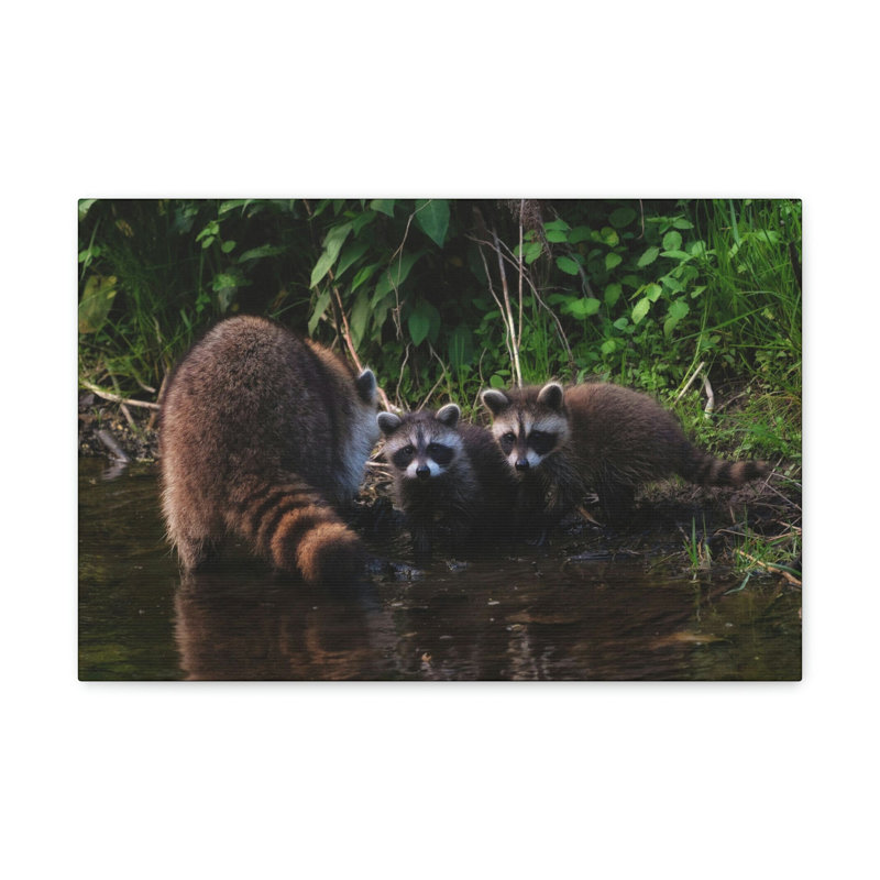 No Frame Print on Canvas, 30.48cm H x 45.72cm W