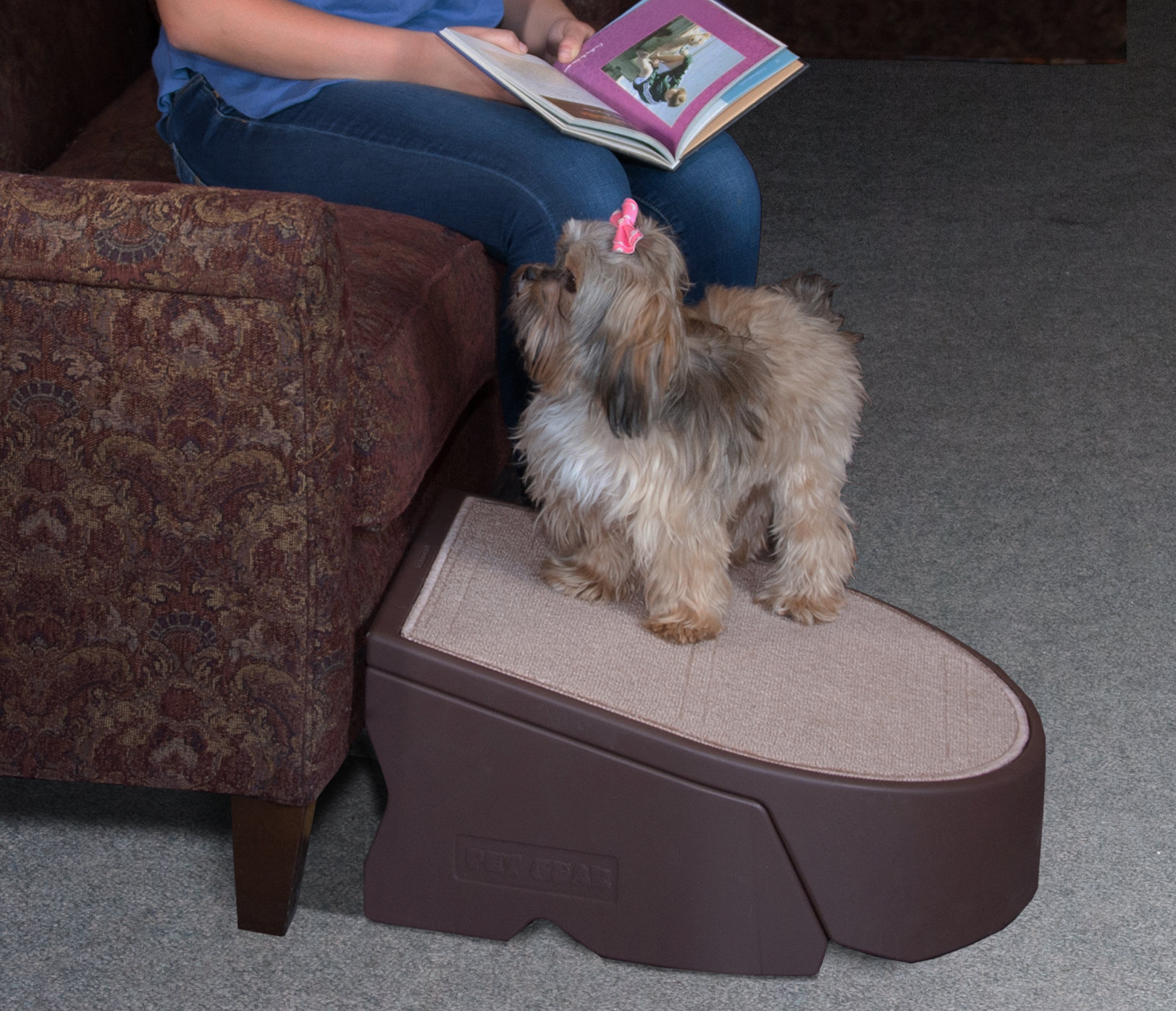 Pet Gear One Step Pet Ramp & Reviews | Wayfair