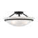 Wilbrecht Glass Semi Flush Mount