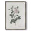 Impression florale vintage encadrée CXLV - bois massif-1042057296