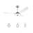 Braylynn 52'' Ceiling Fan with LED Lights-214131027