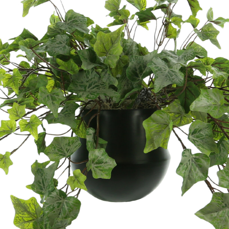 Faux Ivy Plant in Ceramic Pot