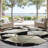 Machine Washable Indoor/Outdoor Raemoore ACN2405 Botanical Rug-1318514123