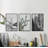 " Cacti Triptych " 3 - Pieces-32694317