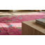 Hand Knotted Wool Area Rug in Pink